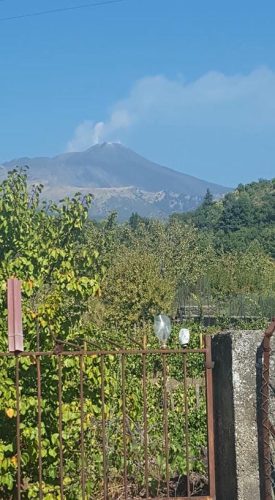 21462569 1419571311491755 3893845187381769231 n