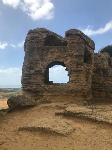 21557736 10156551358044348 6912584618315752512 n