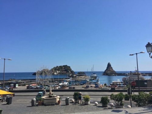 21742898 10211856191852534 7342751760585864420 n