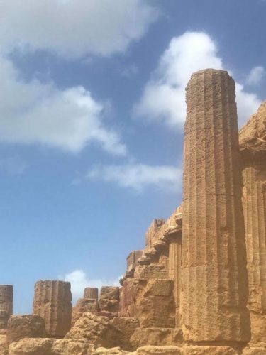 21743076 10156551357344348 5789019069298898146 n